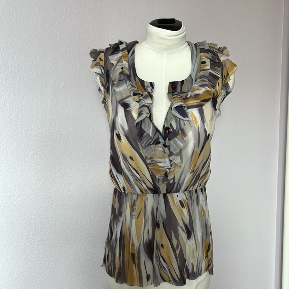 Beautiful Sheer Ruffle Blouse - Picture 3 of 8